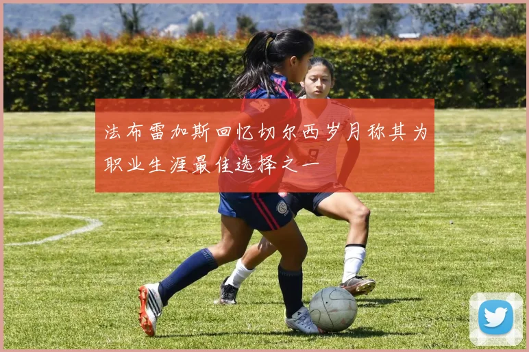 法布雷加斯回忆切尔西岁月称其为职业生涯最佳选择之一